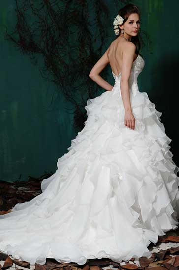 Wedding Dress_Ball gown SC193