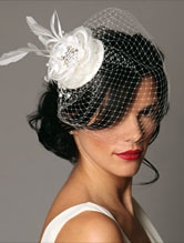 Bridal Birdcage Veil BR040