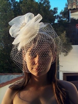 Bridal Birdcage Veil BR041